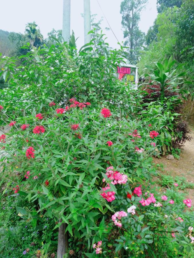 Ella Tea Land View Exterior foto
