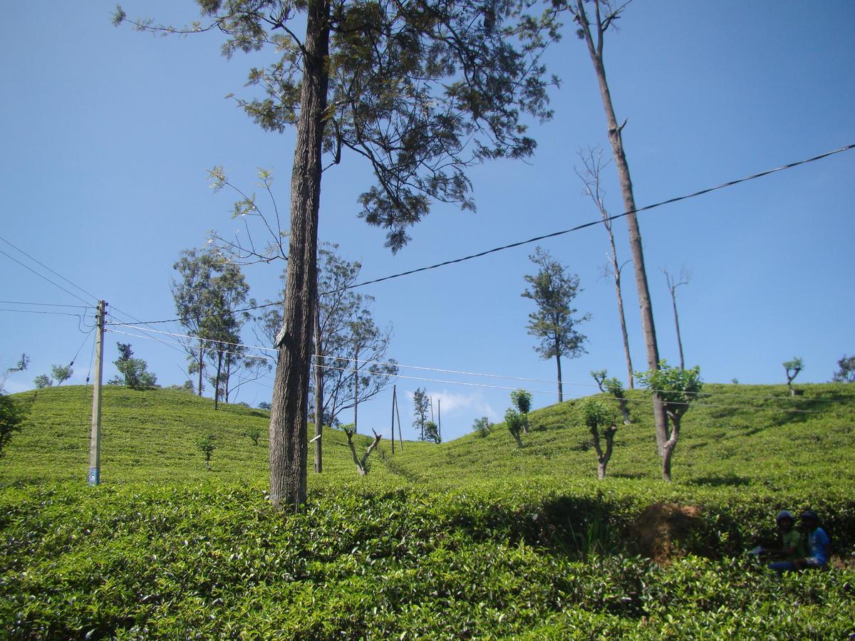 Ella Tea Land View Exterior foto